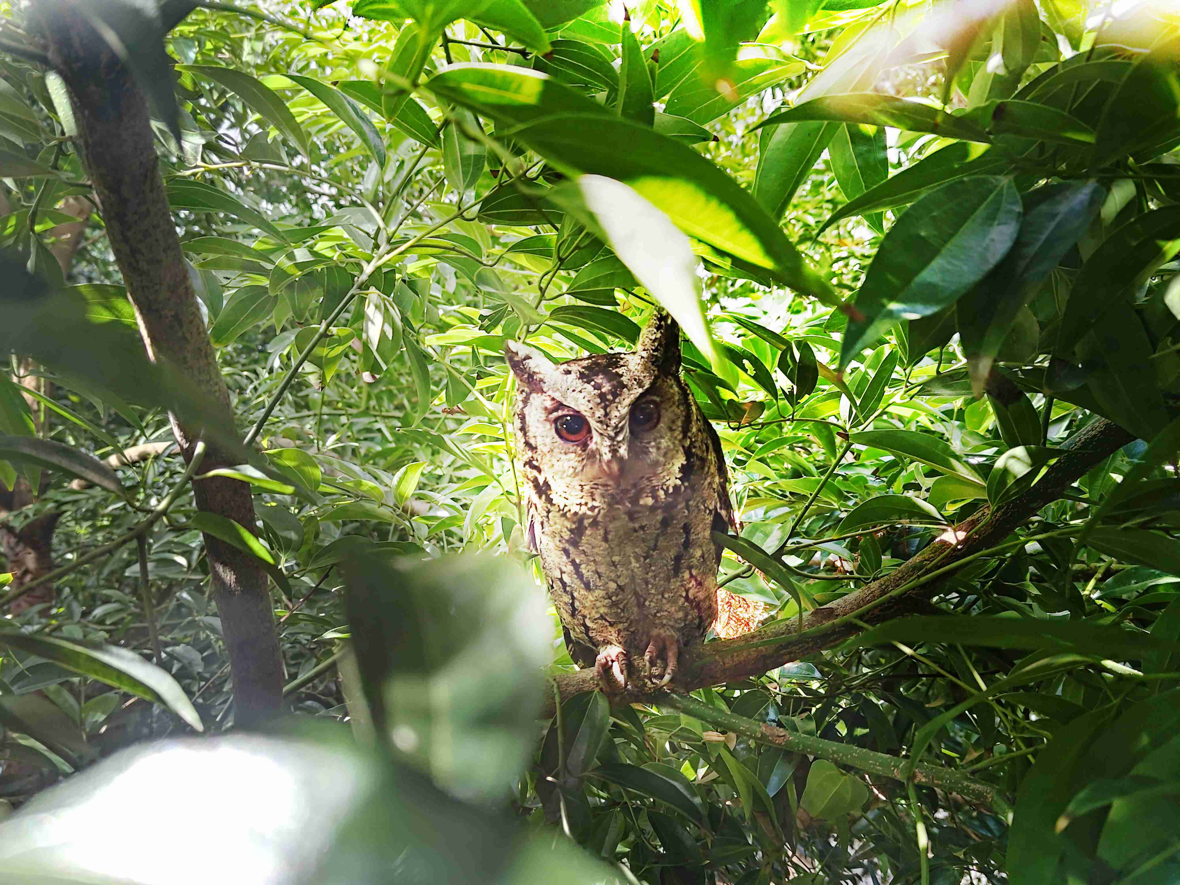 918.COM致力提倡净零绿生活，，，，16年以来在全球各厂区植树逾百万棵，，造就各厂区树木蔚然成林，，，犹如森林工厂，，成为许多生物的栖息地